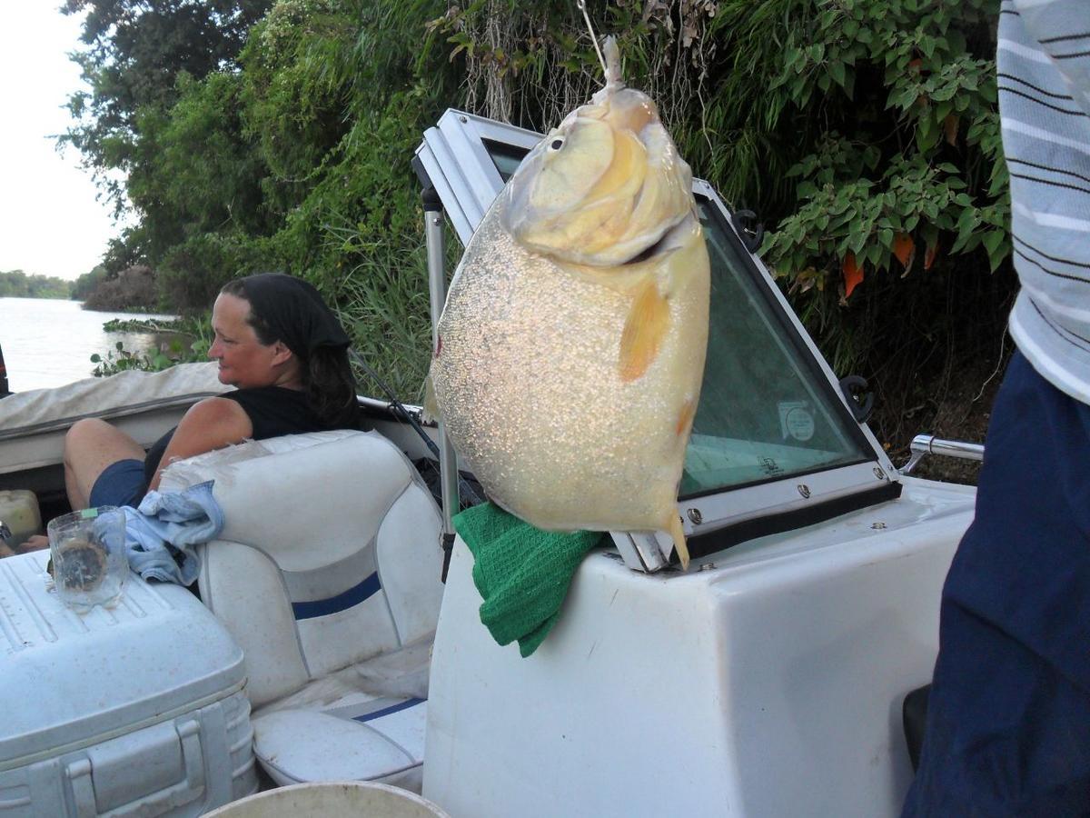 Coembota Cabanas Tigre Rom bilde